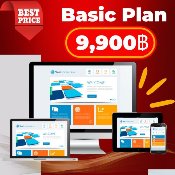 Web Design Basic Plan